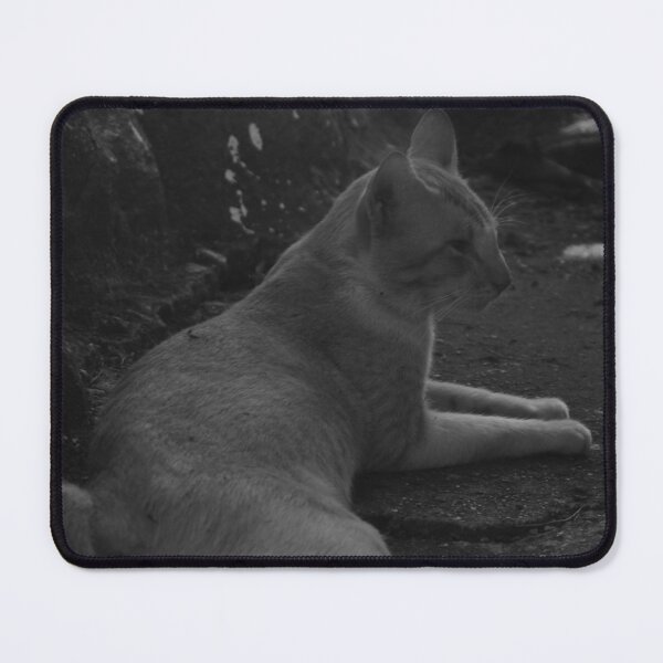 Item preview, Rest Cat designed and sold by ROSE ANN BANILAR.
