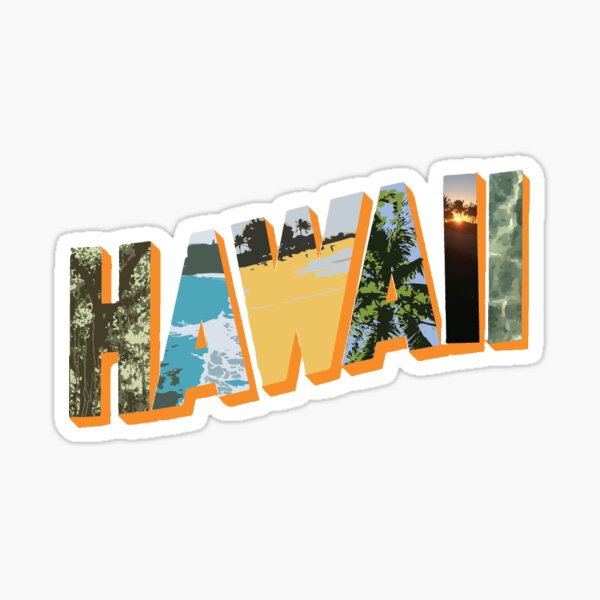 Aloha Hawaii 🌺🌊 We are launching two very cute products next