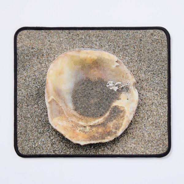 Item preview, shell designed and sold by KathleenDawson.