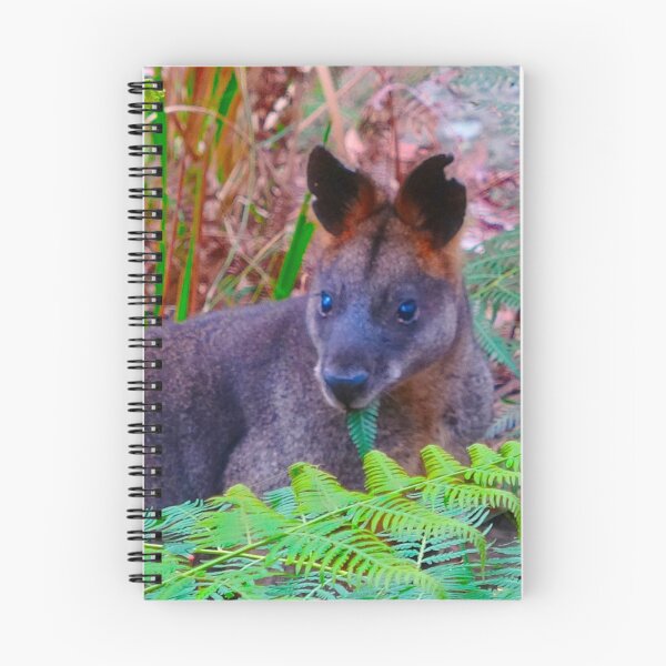 Item preview, The Swamp Wallaby ! designed and sold by Mickangelhere.