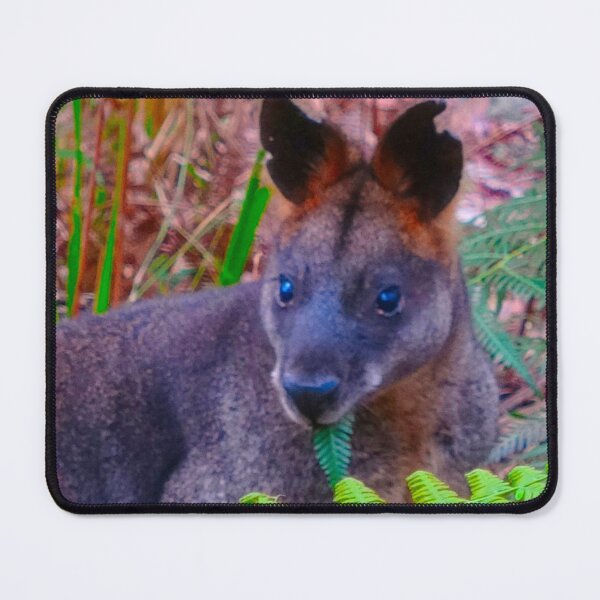 Item preview, The Swamp Wallaby ! designed and sold by Mickangelhere.
