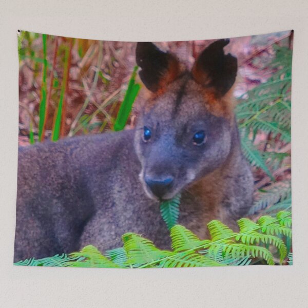 Item preview, The Swamp Wallaby ! designed and sold by Mickangelhere.
