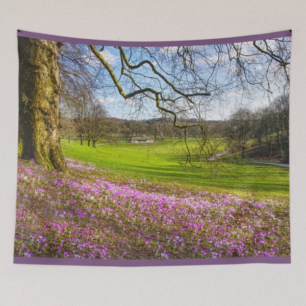 Item preview, Leeds Roundhay Park Crocuses designed and sold by Alisonchambers2.