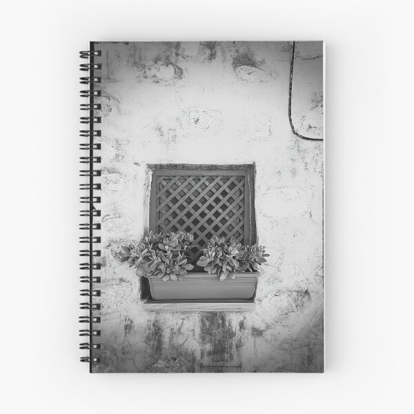 Item preview, Black and white window box, Planter Photo designed and sold by IdoFriedmanArt.