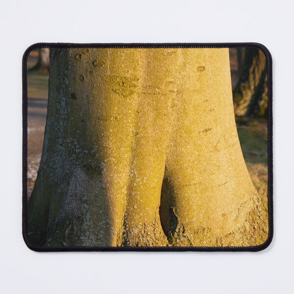 Item preview, Tree trunk in the evening light 4 designed and sold by Heidemüllerin.