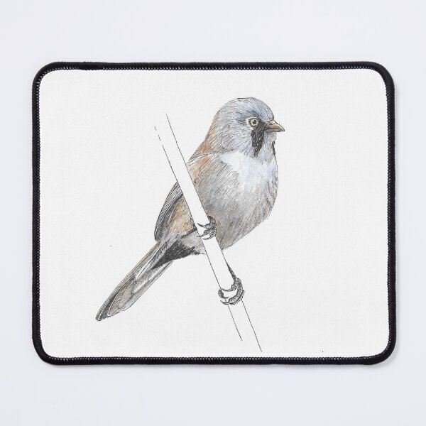 Item preview, Bearded Tit Pen and Ink Drawing designed and sold by BensWildlifeArt.