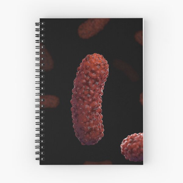 Item preview, STK701582H-Bacteria Bordetella pertussis. designed and sold by StocktrekImages.