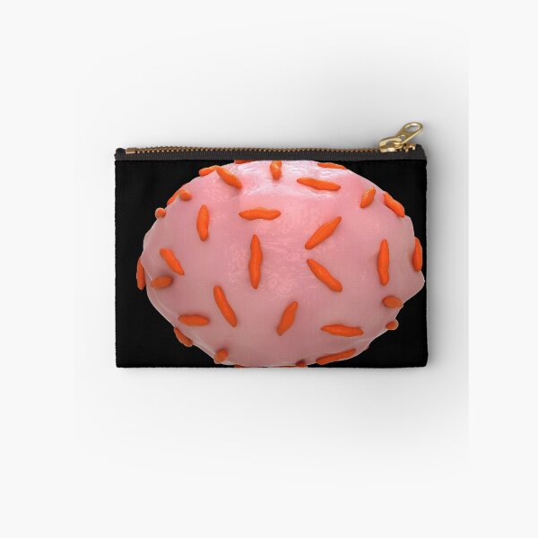 Item preview, STK701606H-The bacteria Gardnerella vaginalis. designed and sold by StocktrekImages.