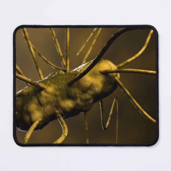 Item preview, STK701607H-Illustration of gastroenteritis. designed and sold by StocktrekImages.
