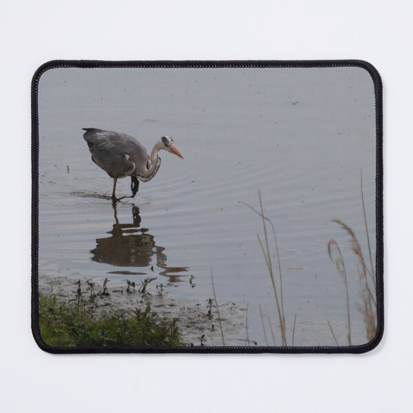 Item preview, Grey Heron designed and sold by Calidris Fotografie Steffi & Ben Köppler.