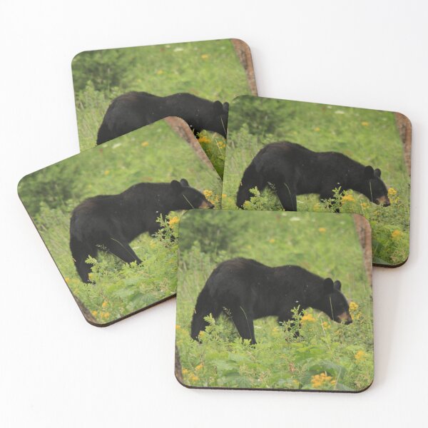Item preview, Black Bear of Yellowstone designed and sold by CampfireCove.