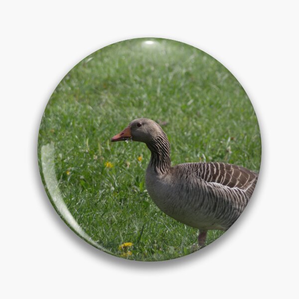 Item preview, greylag goose designed and sold by Calidris Fotografie Steffi & Ben Köppler.