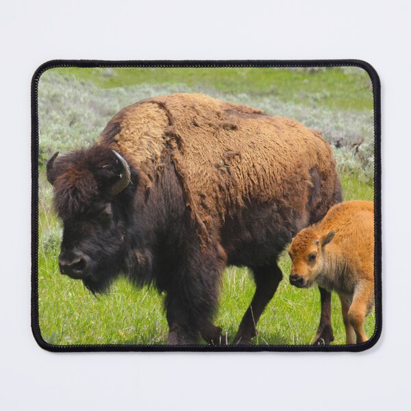 Item preview, Mom and Baby Bison in Yellowstone designed and sold by CampfireCove.