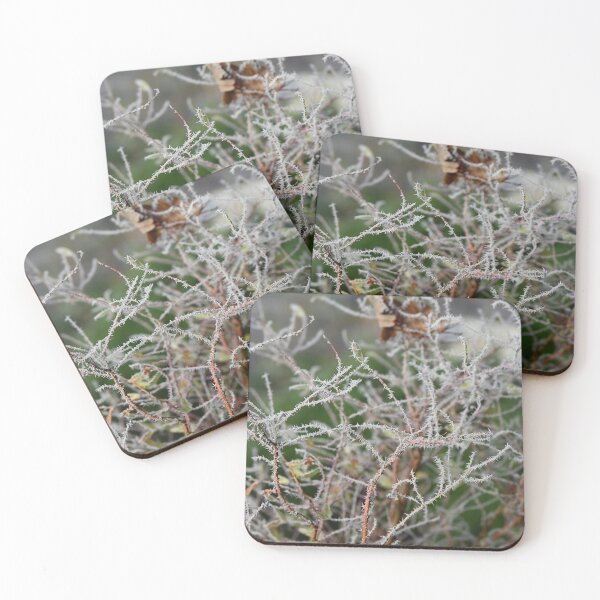 Item preview, Frosticles, icy coated shrubs designed and sold by JonDelorme.