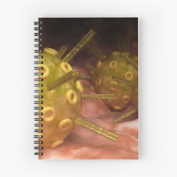 Item preview, STK701621H-The herpes simplex virus on surface. designed and sold by StocktrekImages.
