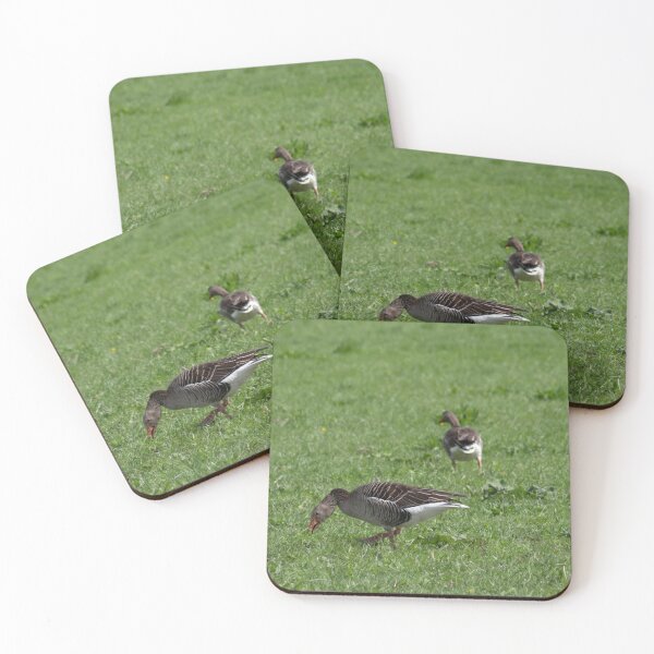 Item preview, Grayleg Geese designed and sold by Calidris Fotografie Steffi & Ben Köppler.