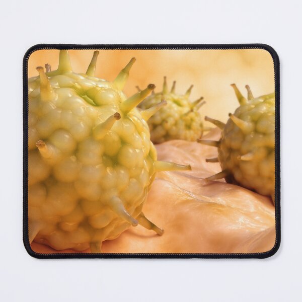 Item preview, STK701624H-Influenza virus on surface. designed and sold by StocktrekImages.