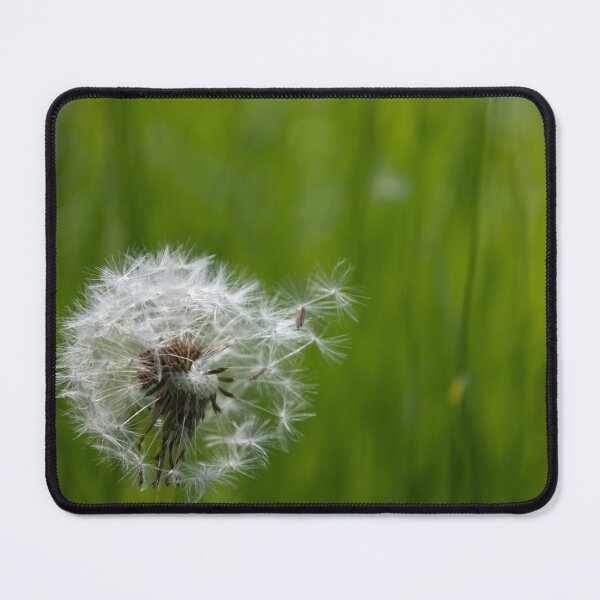 Item preview, Blowball designed and sold by Calidris Fotografie Steffi & Ben Köppler.