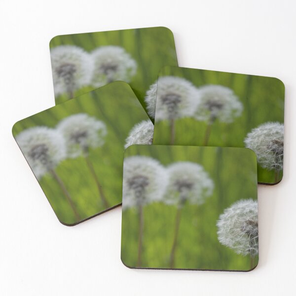 Item preview, Blowballs designed and sold by Calidris Fotografie Steffi & Ben Köppler.