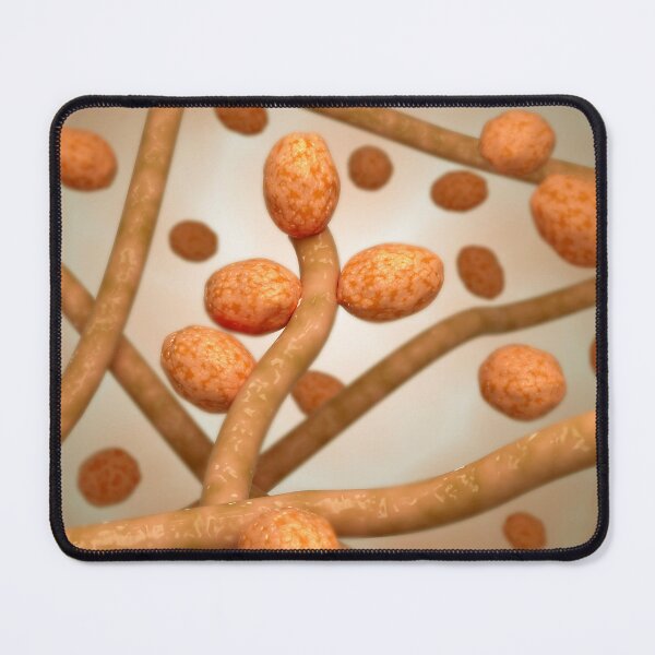 Item preview, STK701625H-Illustration of tinea cruris. designed and sold by StocktrekImages.