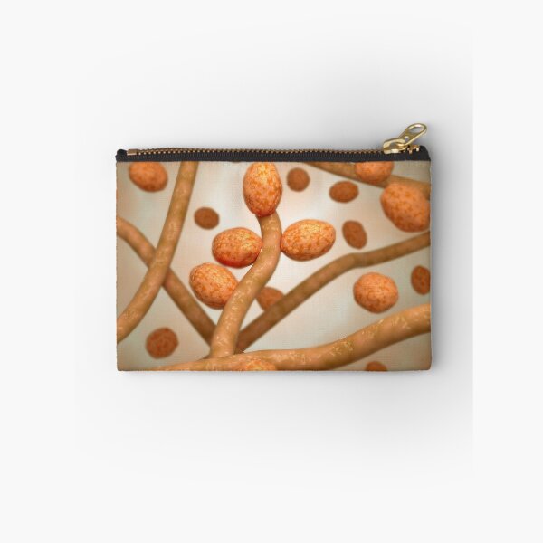 Item preview, STK701625H-Illustration of tinea cruris. designed and sold by StocktrekImages.