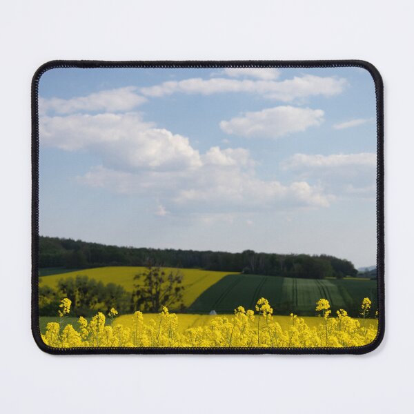 Item preview, Rape-seed field designed and sold by Calidris Fotografie Steffi & Ben Köppler.