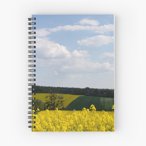 Item preview, Rape-seed field designed and sold by Calidris Fotografie Steffi & Ben Köppler.