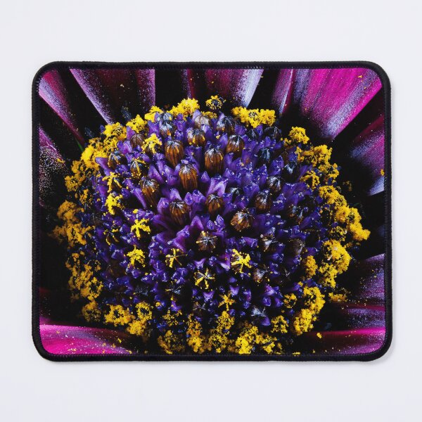 Item preview, Macro photography of a purple cape daisy designed and sold by Giuseppe Cammino.
