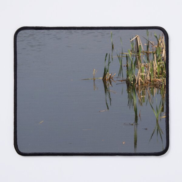 Item preview, Broadleaf Cattail designed and sold by Calidris Fotografie Steffi & Ben Köppler.