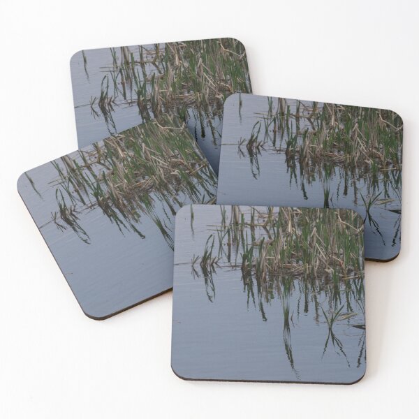 Item preview, Broadleaf Cattail, designed and sold by Calidris Fotografie Steffi & Ben Köppler.