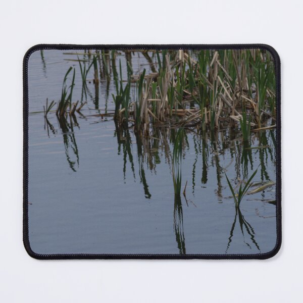 Item preview, Broadleaf Cattail, designed and sold by Calidris Fotografie Steffi & Ben Köppler.