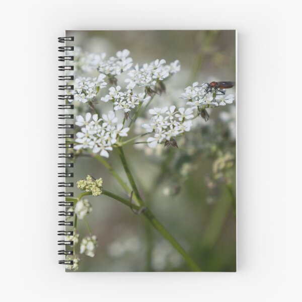 Item preview, Wild Chervil designed and sold by Calidris Fotografie Steffi & Ben Köppler.