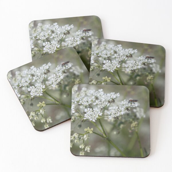 Item preview, Wild Chervil designed and sold by Calidris Fotografie Steffi & Ben Köppler.
