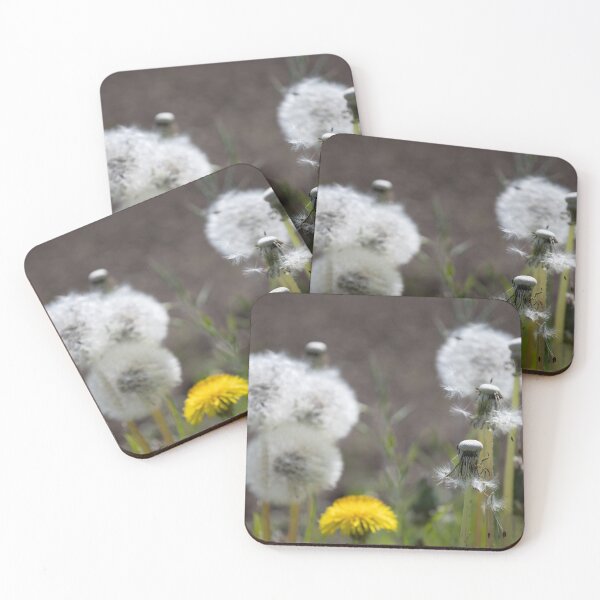 Item preview, Blowballs designed and sold by Calidris Fotografie Steffi & Ben Köppler.