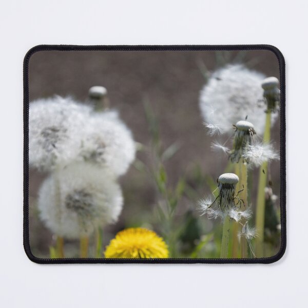 Item preview, Blowballs designed and sold by Calidris Fotografie Steffi & Ben Köppler.