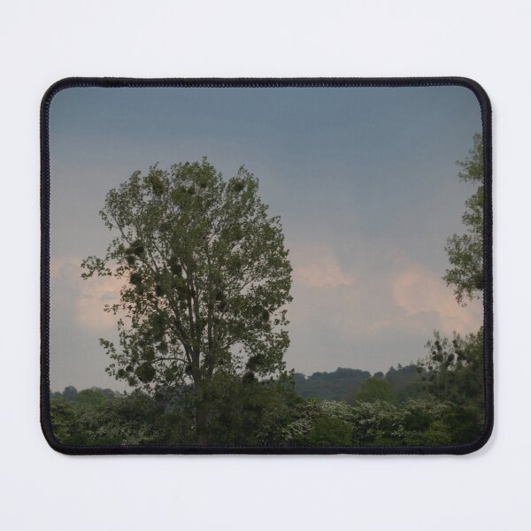 Item preview, Poplar designed and sold by Calidris Fotografie Steffi & Ben Köppler.