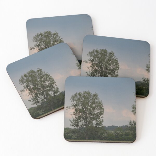 Item preview, Poplar designed and sold by Calidris Fotografie Steffi & Ben Köppler.