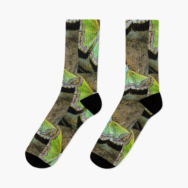 Item preview, Beautiful nature creates work designed and sold by Anurak  Chusakuntuntiwong.