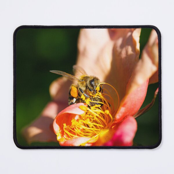 Item preview, A bee collecting pollen designed and sold by Giuseppe Cammino.