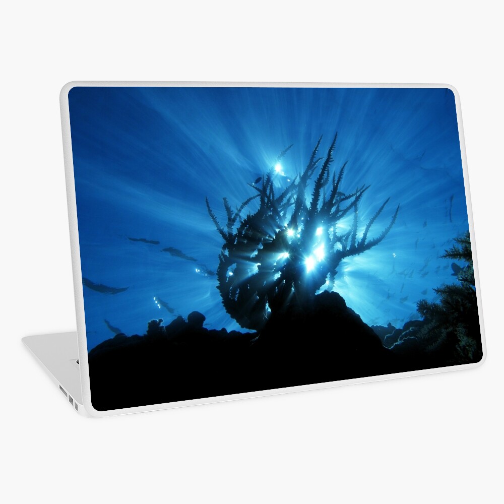 Purity of Form Laptop Skin
