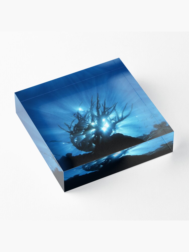 Alternate view of Purity of Form Acrylic Block