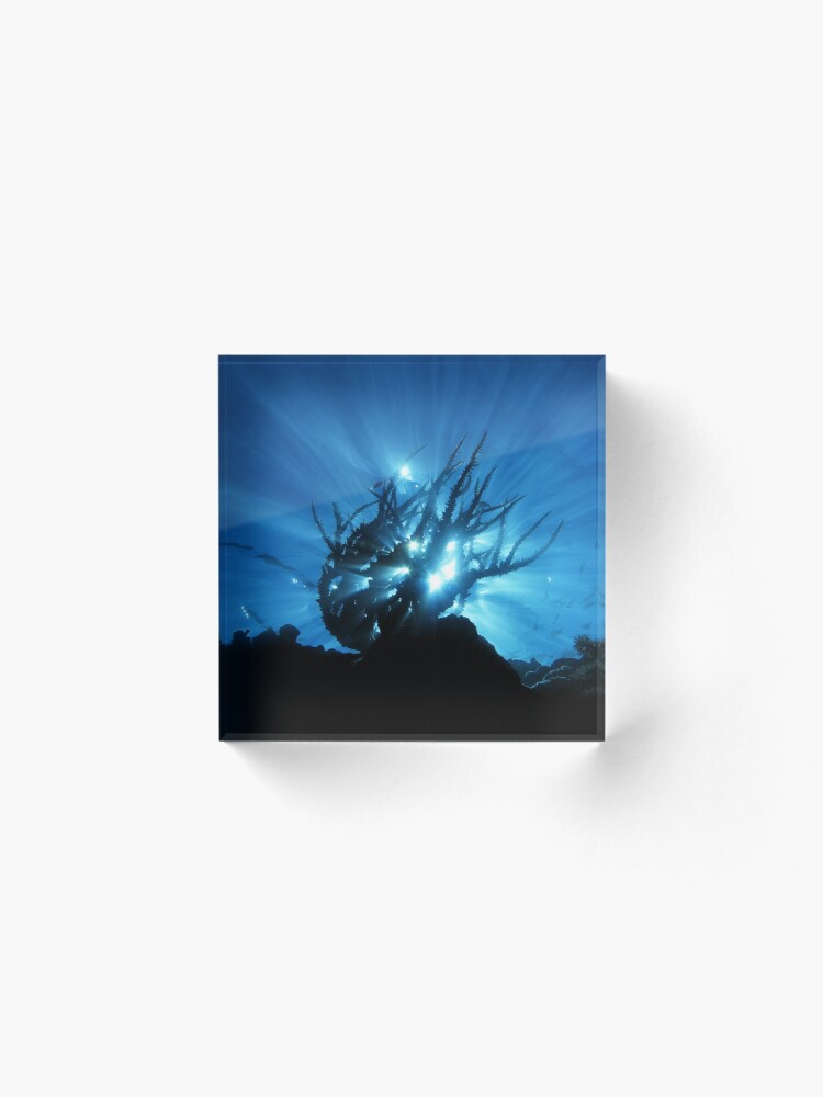 Alternate view of Purity of Form Acrylic Block