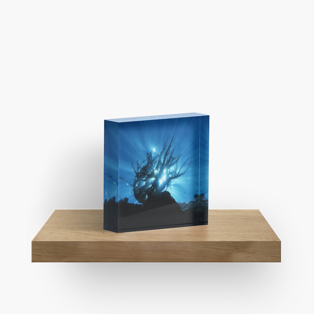 Purity of Form Acrylic Block