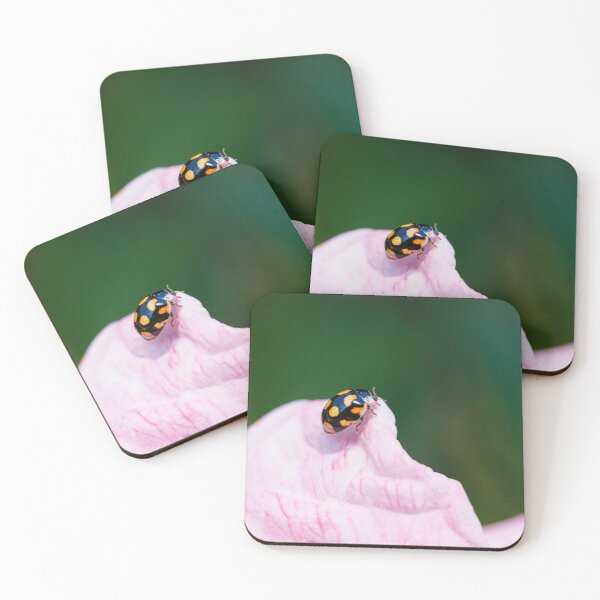 Item preview, An ursine spurleg lady beetle on a pink petal designed and sold by Giuseppe Cammino.
