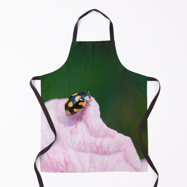 Item preview, An ursine spurleg lady beetle on a pink petal designed and sold by Giuseppe Cammino.