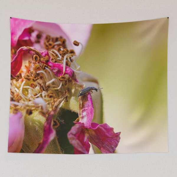 Item preview, A small insect resting on a dying rose designed and sold by Giuseppe Cammino.