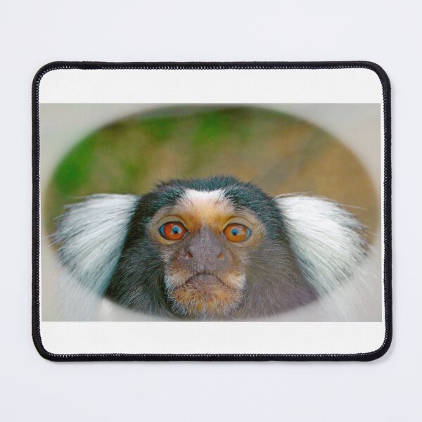 Item preview, Monkey Funny Face designed and sold by JoyPhotoArt.