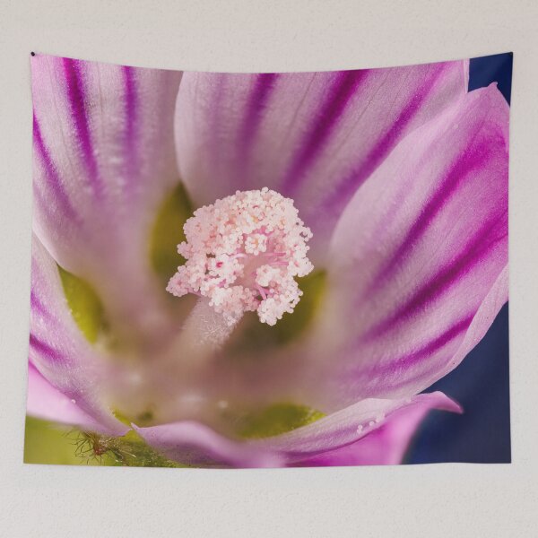 Item preview, A flower of malva sylvestris designed and sold by Giuseppe Cammino.