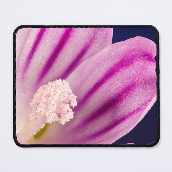 Item preview, A flower of malva sylvestris designed and sold by Giuseppe Cammino.
