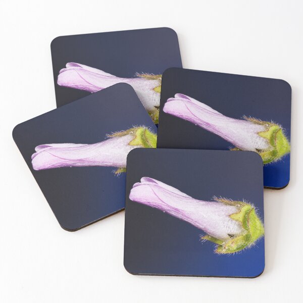 Item preview, A flower of malva sylvestris designed and sold by Giuseppe Cammino.